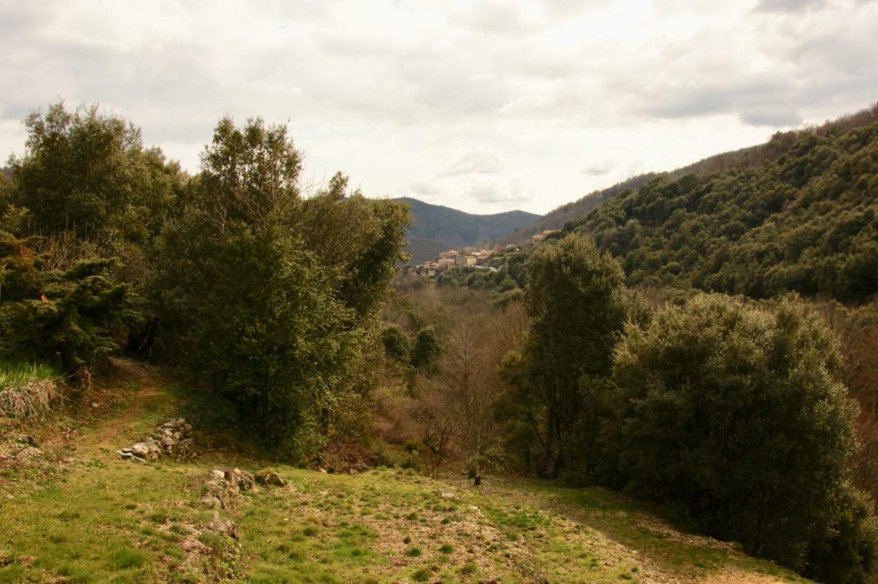 Mas Des Nabieres Panzió Saint-Martial  Kültér fotó